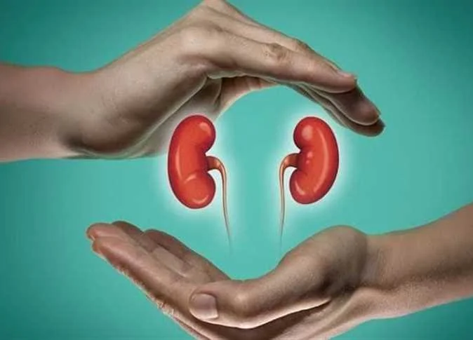 نصائح للحفاظ على صحة الكلى