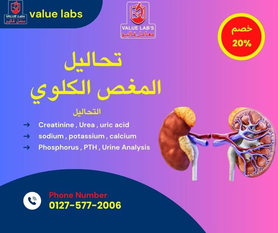 باقة تحاليل المغص الكلوي من معامل فاليو للتحاليل الطبية، تغطي وظائف الكلى والأملاح وتحليل البول مع خصم 20%